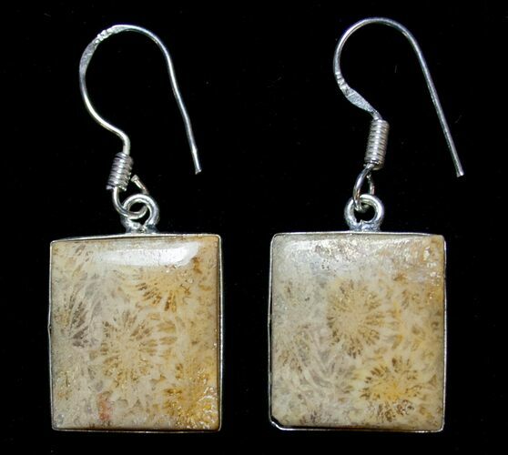 Beautiful Fossil Coral Sunburst Earrings #8609
